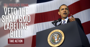 Obama_Flag_Sham_Bill_Veto_600